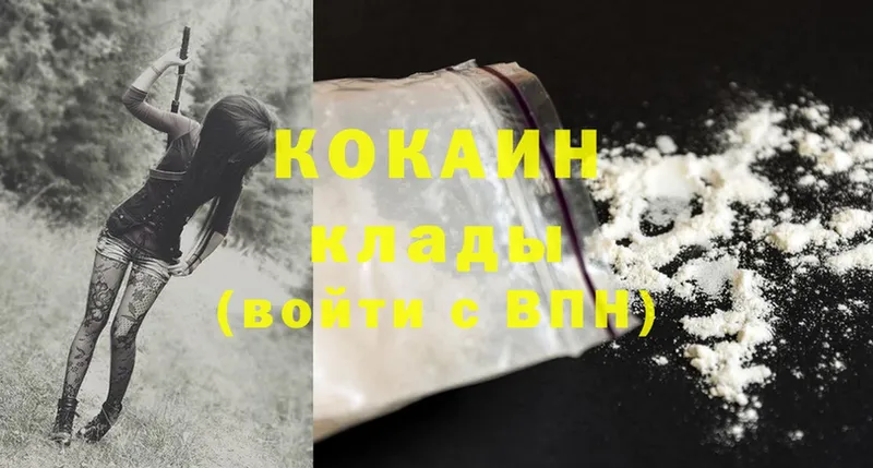 дарнет шоп  Исилькуль  Cocaine 99% 